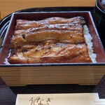 Unagi Ichifuji - 