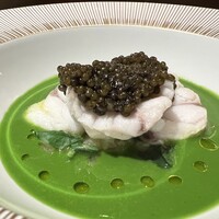 スガラボヴィー - 