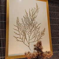 個室焼肉 富士門 恵比寿 - 