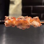 YAKITORI 燃 es - せせり