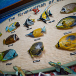 魚屋直営食堂　魚まる - 