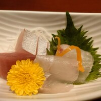 先斗町 四季 よし菜 - 