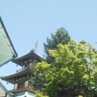 レストラン カスケード - 