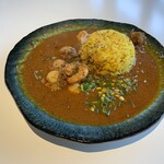 MODECURRY - 