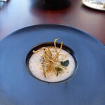 ONO HAKATA-Octo Natura Kyusyu- - 