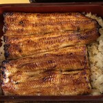 Unagi Yasukawa - 