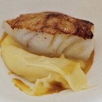 Benoit Alain Ducasse - 