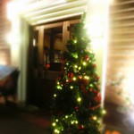 PESCA - ●メリクリ～～♪