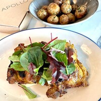 THE APOLLO - 