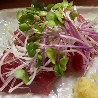 野球鳥 立川球場_0