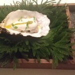 Installation Table ENSO L'asymetrie du calme - 