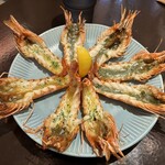 Crab Shrimp and Oyster - 太陽の海老