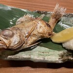 Washoku izakaya shummon - 