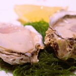 アピシウス - 唐桑半島水山水産の生牡蠣2ピース