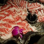 イベリコ屋 北新地店 - 