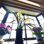 ケンちゃんラーメン - 2024年2月24日は一粒万倍日と満月が重なる吉日です。一粒万倍日は、この日に使ったお金が何倍にもなって戻ってくるとされています。