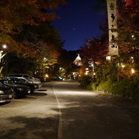 うかい鳥山 - 上品さを感じる構内への入口