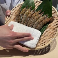 鮨 蒼天 -  鮨 蒼天 -