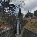 オレンジペコ - 