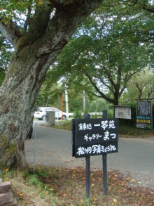 一翠苑（いっすいえん） &ndash; 鶴岡の隠れ家カフェ | 山形県鶴岡市