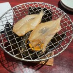 産直さばと青魚 伏見あおい - 