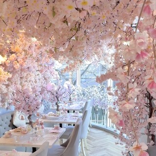 現在の店内は一面にピンクが広がる桜♡
