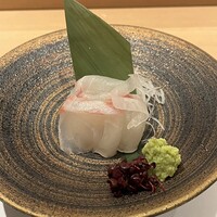 難波 鮨 よこ田 - 