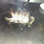 春よ来い - 海老焼き
      