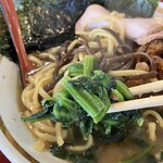 IEKEI KANSAI 王道家直系 我道家 - ほうれん草