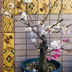 みかわ 是山居 - 