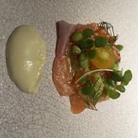 Wattle Tokyo -  Wattle Tokyo -