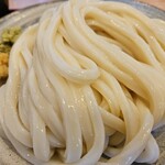 Sanuki Udon Joube - 