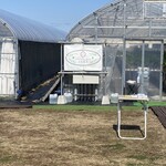 ストロベリーファーム ふじもと - 