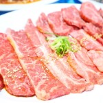 Yakiniku Horumon Fuji - 赤身盛り合わせ