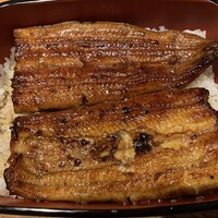 江戸徳 - 