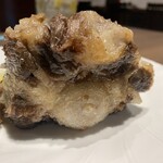 タンテール富士 - 