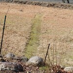 くつきそば 永昌庵 - 