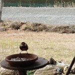 くつきそば 永昌庵 - 