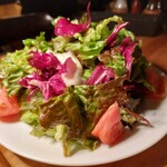 カルネジーオ イースト - グリーンサラダ