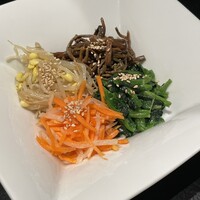 老舗精肉店直送 千種焼肉 飛騨牛の奴隷 千種店 - ナムル盛り合わせ