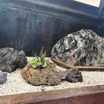 ヨコクラうどん - 