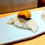 Sushi Hayashi - 白いか＆ばふん海胆