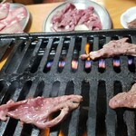 杉 - 