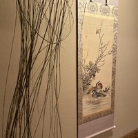 菊乃井 本店 - 