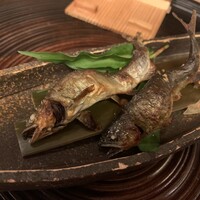 山玄茶 - 