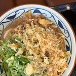 Marugame Seimen - 肉うどん