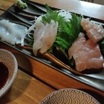 Japanese Sake Bar No.104 - 刺盛りはイカとホウボウが秀逸でした。キンメは生と炙りの両方を提供いただけましたが如何せん全体のポーションの少なさが目立つ。