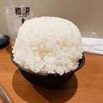 ホルモン たけだ - 山盛りライス