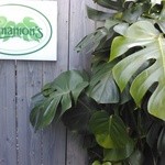 シナモンズ - 入口３