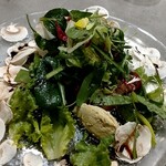 Nicolas Chevrollier - 